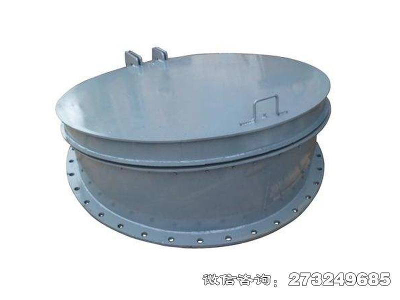 利辛县dn1200不锈钢拍门