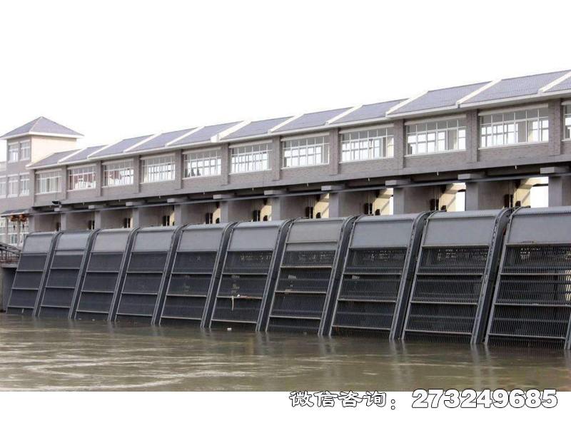 太湖县电厂拦污栅条清污机