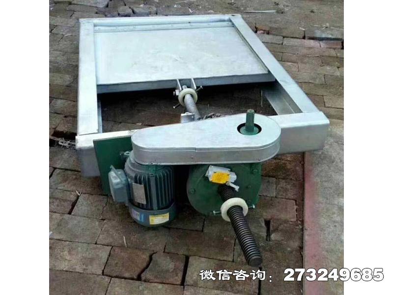 枞阳县电动不锈钢闸门