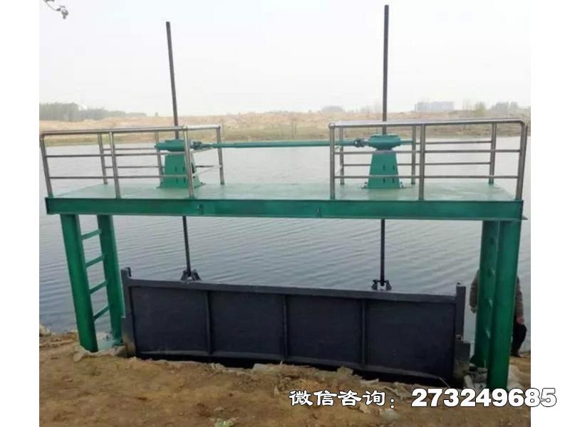 枞阳县水坝拦水闸门