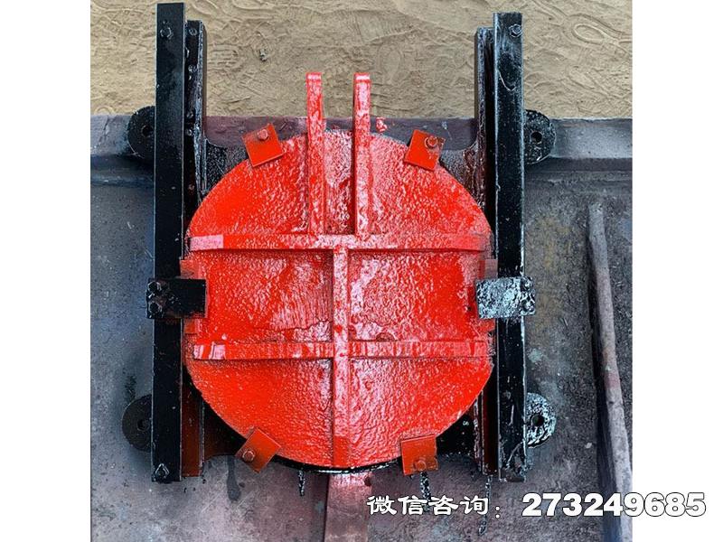 和龙手电两用铸铁镶铜圆闸门
